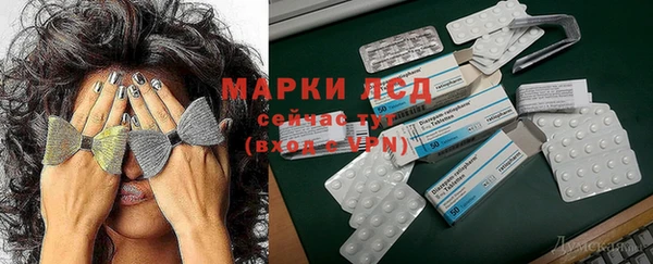 ГАЛЛЮЦИНОГЕННЫЕ ГРИБЫ Навашино