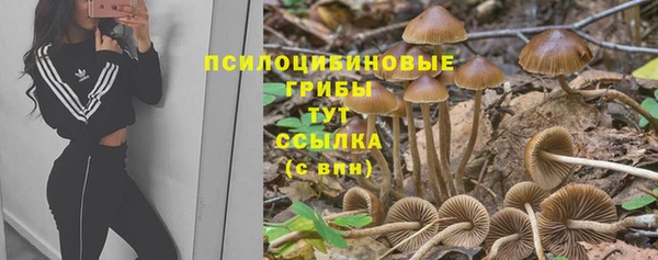 Альфа ПВП Михайлов