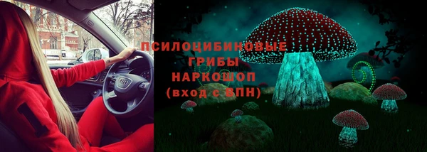 трава Наволоки